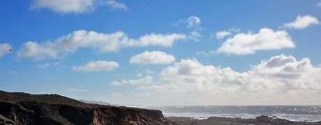 Whale Watching off the California Coast